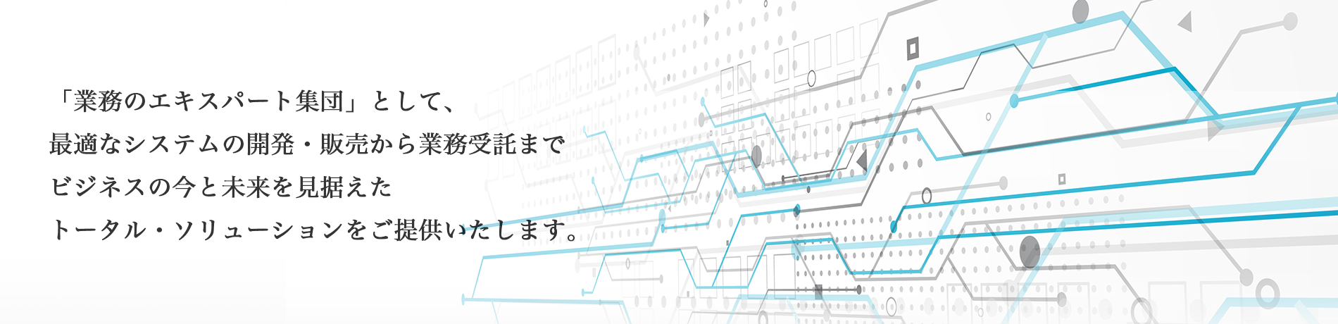 「業務のエキスパート集団」として、最適なシステムの開発・販売から業務委託までビジネスの今と未来を見据えたトータル・ソリューションをご提供いたします。